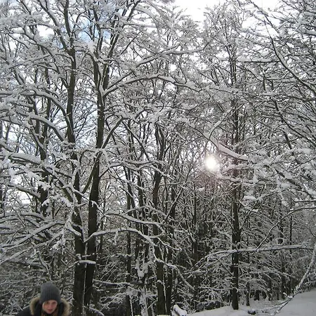 Hampel 3* Schmallenberg