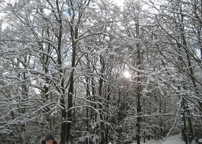 汉佩尔膳食公寓旅馆 3* 施马伦贝格