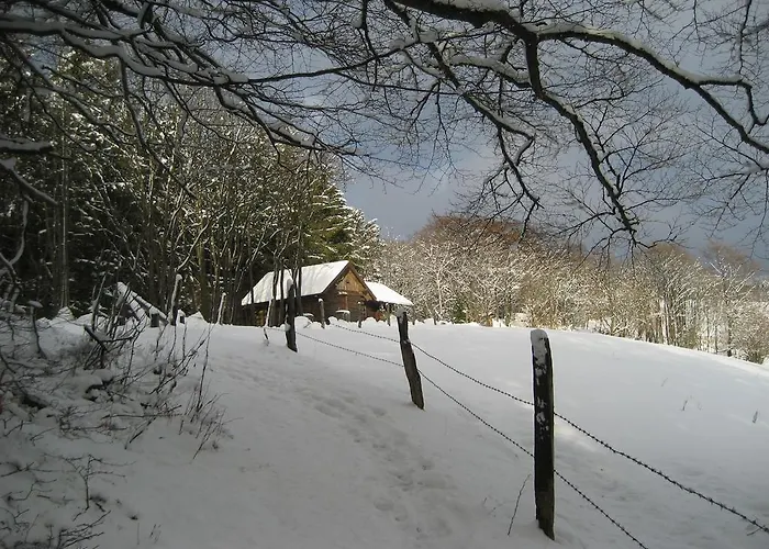 汉佩尔膳食公寓旅馆
