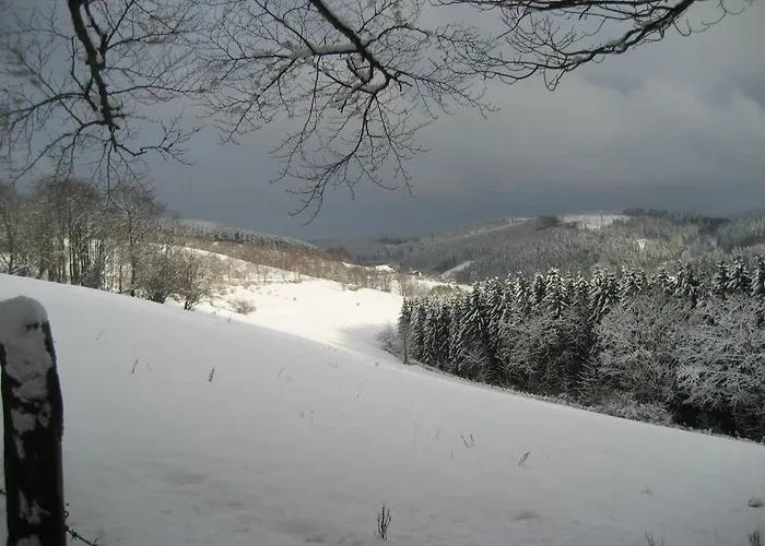 汉佩尔膳食公寓旅馆 施马伦贝格